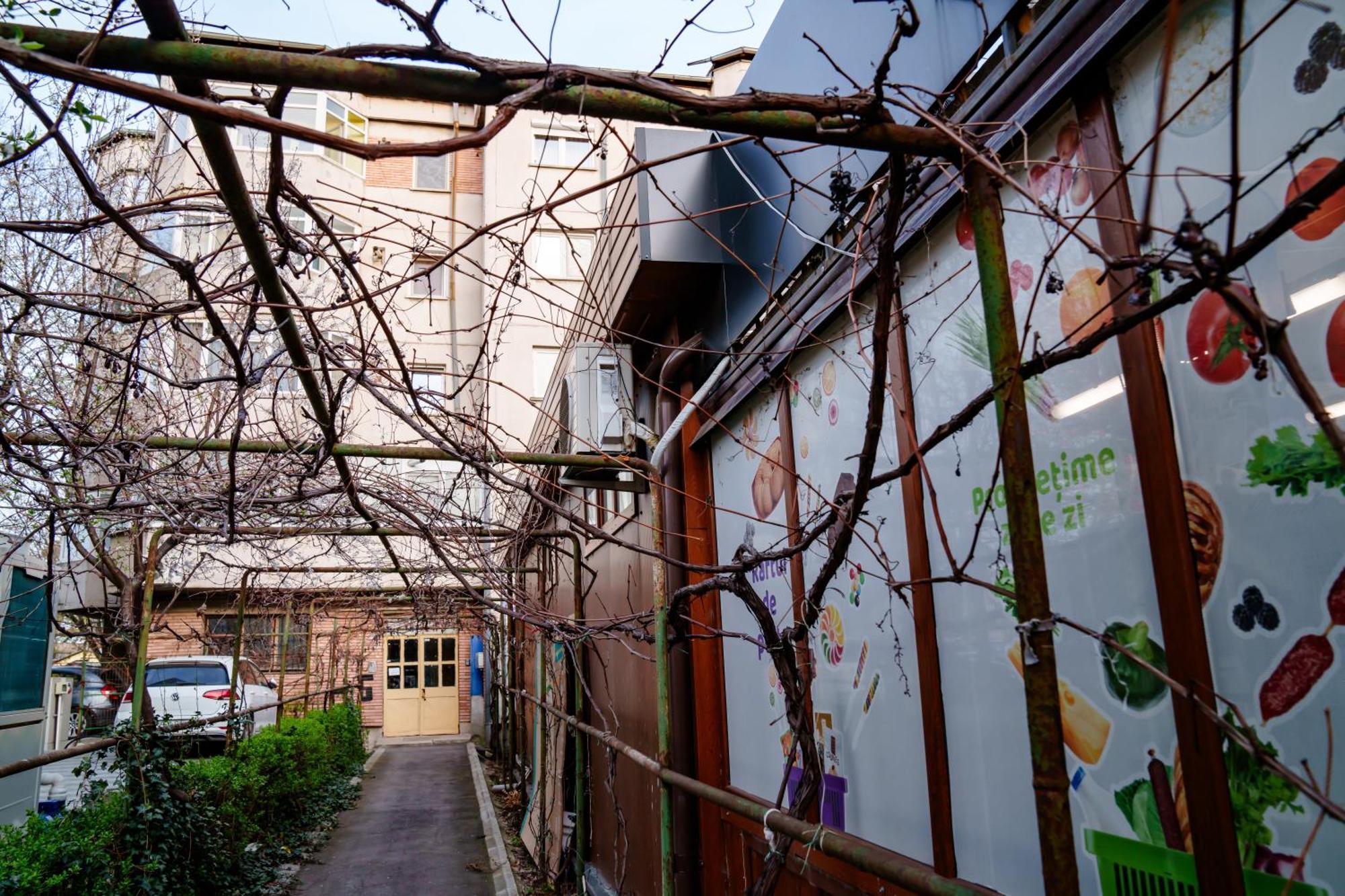 Studio Lounge Apartment Craiova Exterior photo